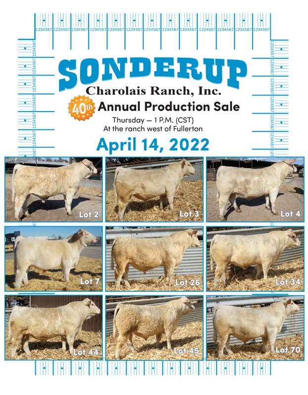 2022 Sonderup Charolais Ranch Inc Bull Sale - April 14, 2022